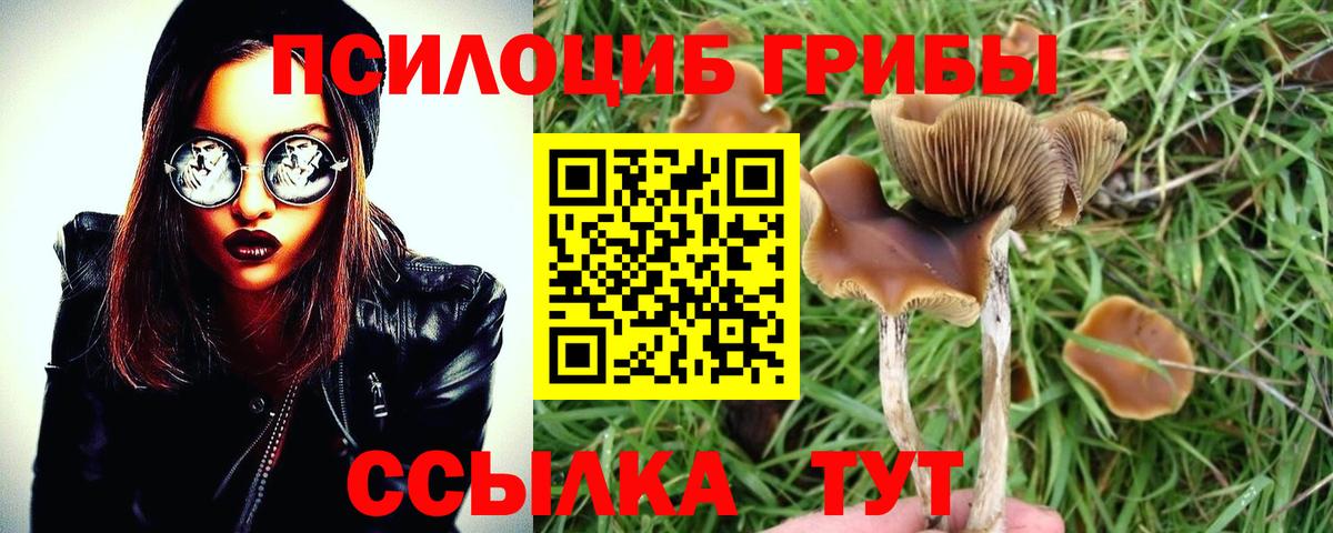Псилоцибиновые грибы MAGIC MUSHROOMS Урус-Мартан