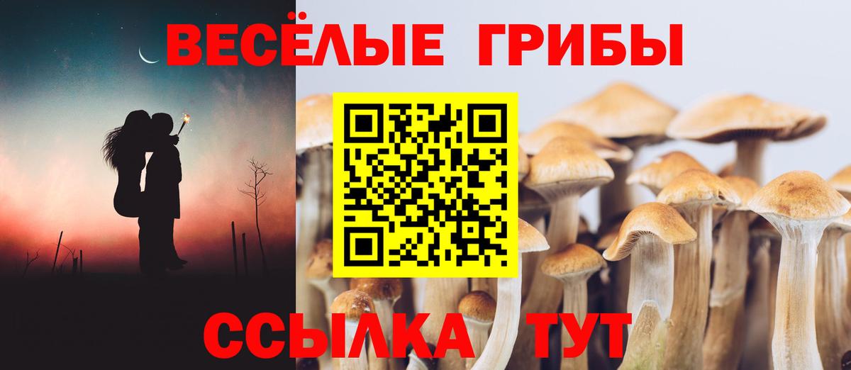 Галлюциногенные грибы Magic Shrooms  Галлюциногенные грибы GOLDEN TEACHER  Вход с VPN  Урус-Мартан 