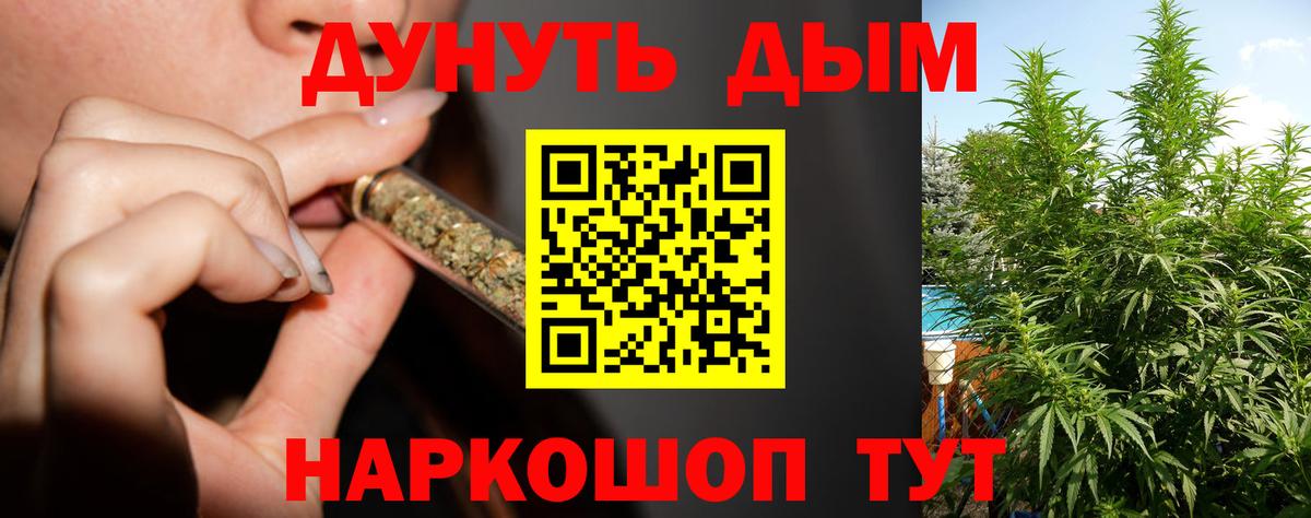 Шишки марихуана планчик Урус-Мартан
